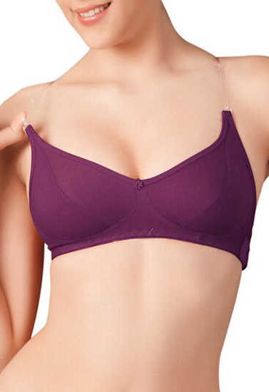 Native-purple-Transparent-Strap-Bra.jpg