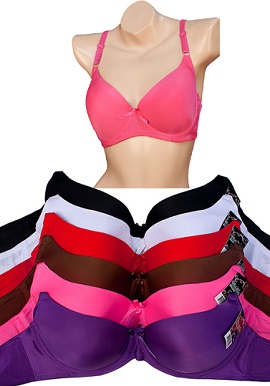 Wholesale Bra Lot - Six Extreme Push Up Bras By Hushh