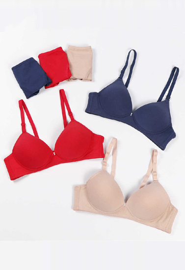 "Pack Of 3" Female Seamless Padded Wire Free Bra